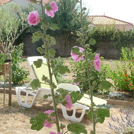 Chambre D'Hote Fleur De Potager Les Sables-dʼOlonne Zewnętrze zdjęcie