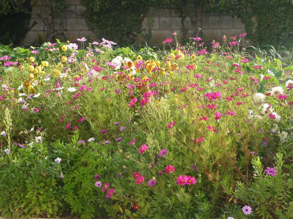 Chambre D'Hote Fleur De Potager Les Sables-dʼOlonne Zewnętrze zdjęcie