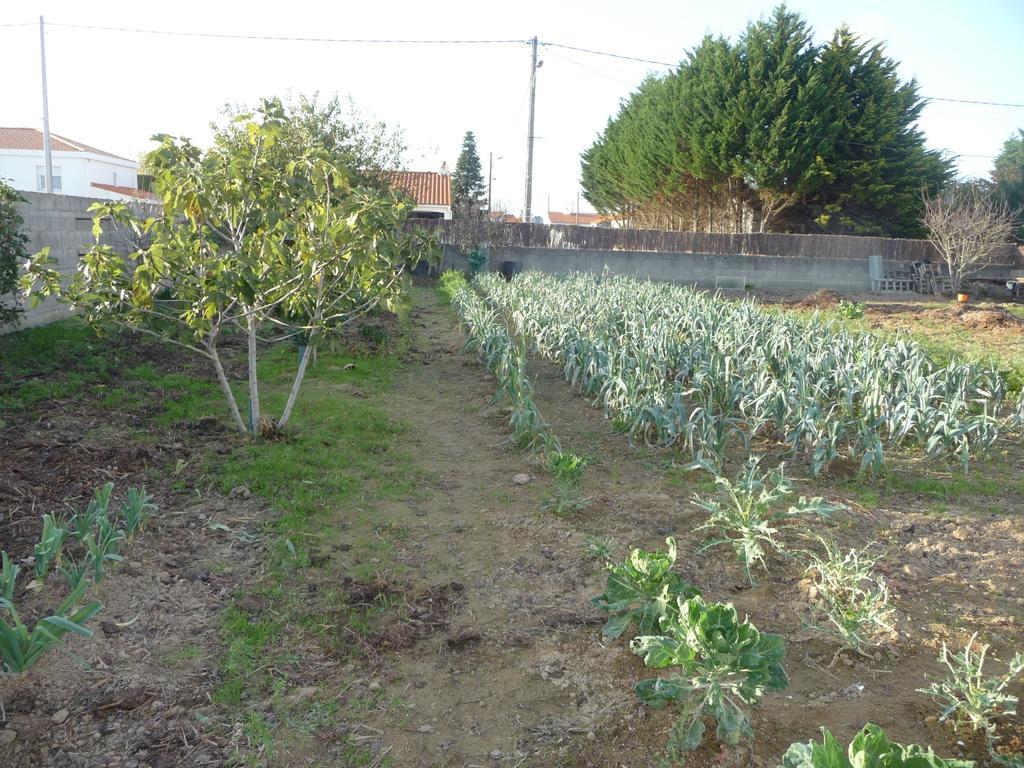 Chambre D'Hote Fleur De Potager Les Sables-dʼOlonne Zewnętrze zdjęcie