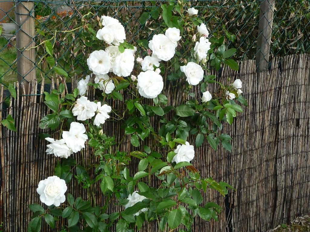 Chambre D'Hote Fleur De Potager Les Sables-dʼOlonne Zewnętrze zdjęcie